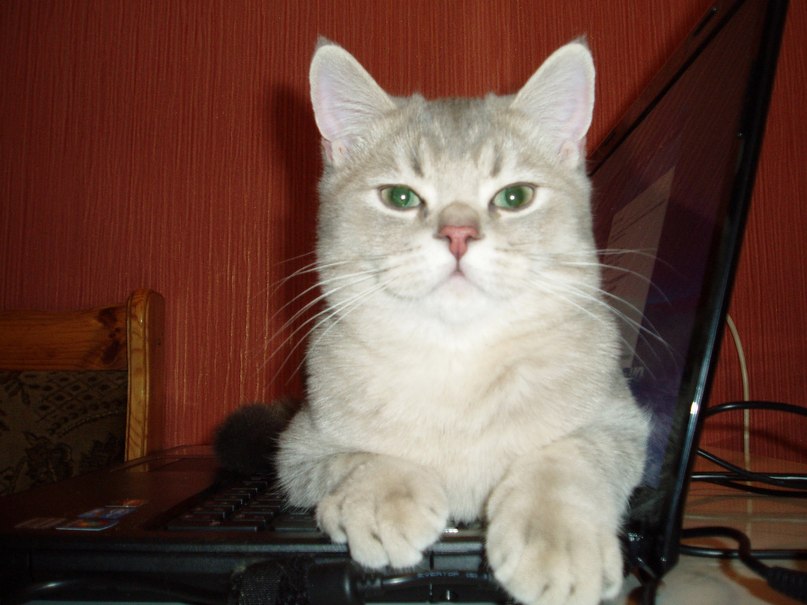 Татьяна Соленова | 