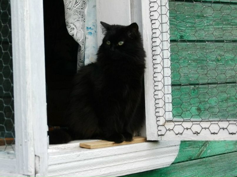 Сергей Паршин ZVEZDEC | Томилино