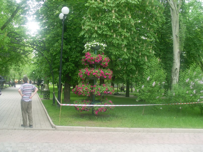 Владимир Сухостат | Полтава