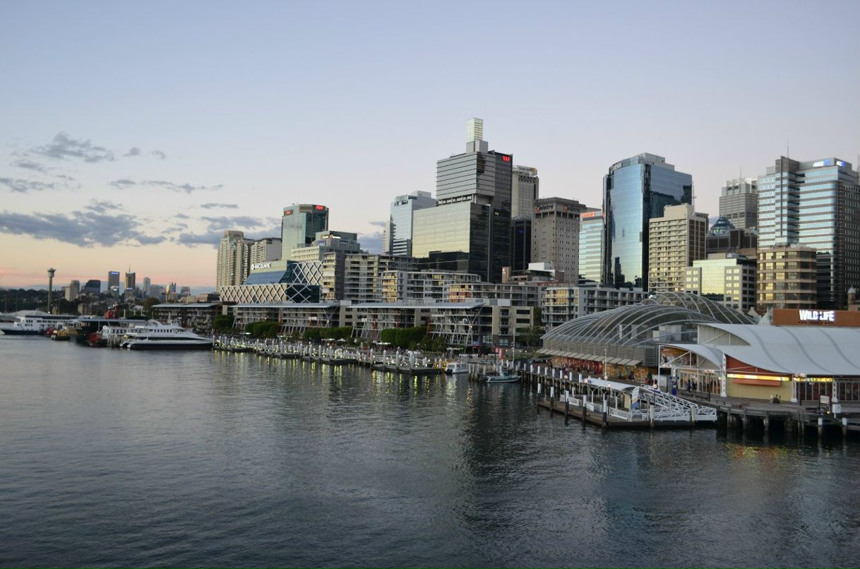 Анастасия Ушакова | 