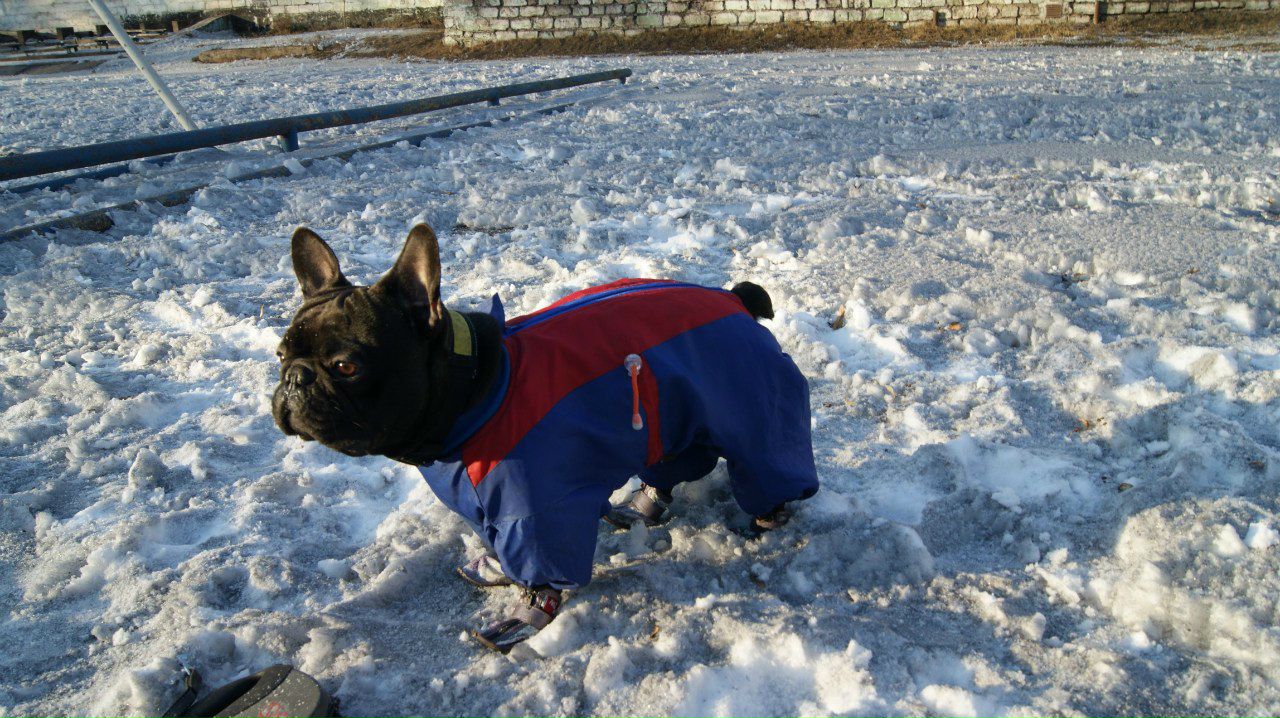 Анна Лукина | Каменское / Днепродзержинск