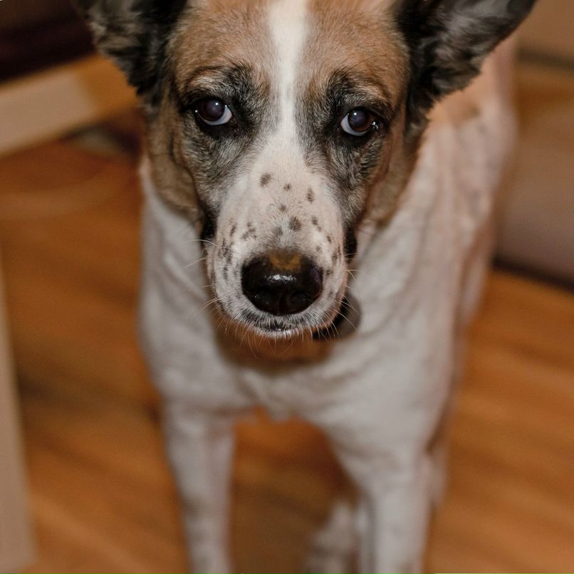 Рита Малкович | Днепр (Днепропетровск)