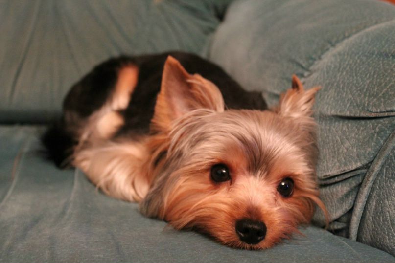 Игорь Килимник | Москва