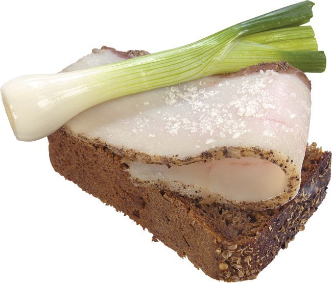 Василь Кіндрат | Киев