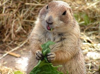 Мария Демидова | Москва