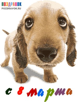 Максим Лукьянов | Харьков