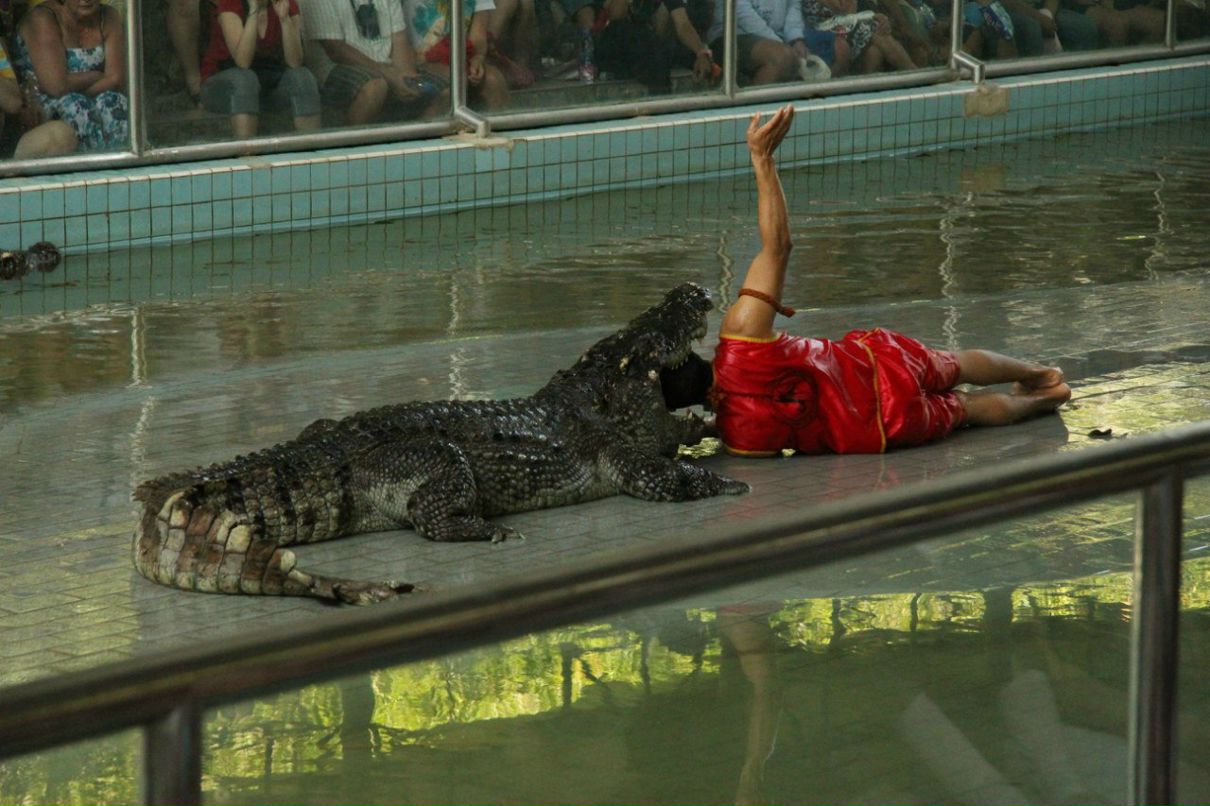 Николай Михайлов | Саввинская Слобода