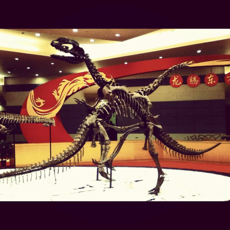 Антон Гетман | Благовещенск