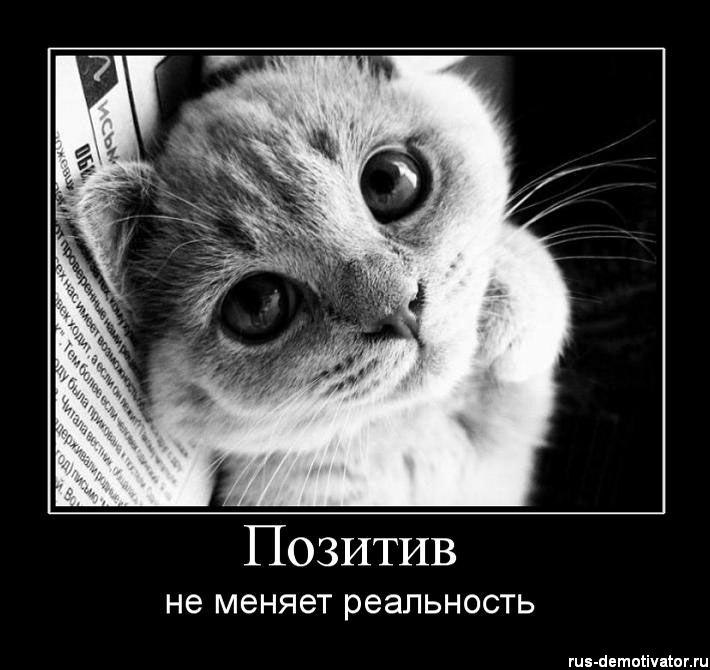 Мария Первак | Санкт-Петербург