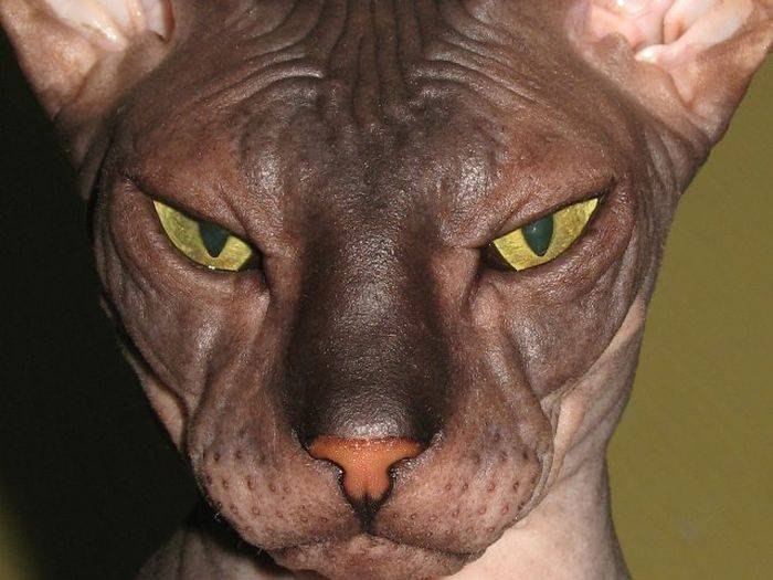 Виктор Быков | Уфа