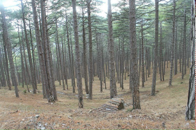 Антон Скадченко | Ялта