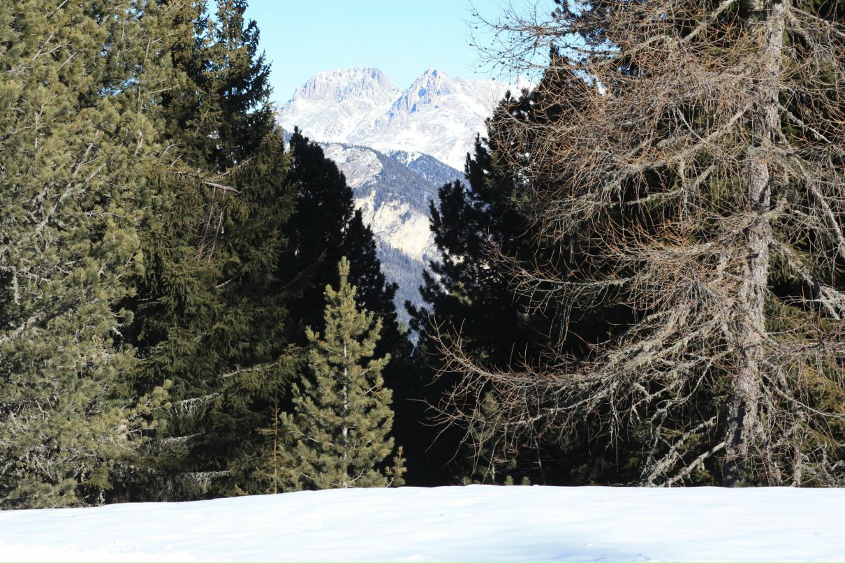 Наталья Кудымова | Троицк