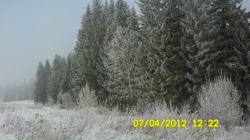 Михаил Силин | Пермь