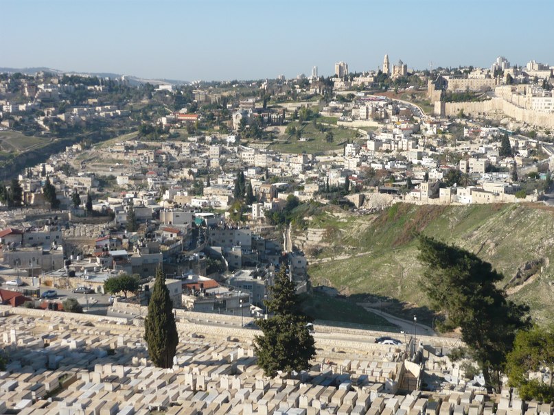 Елена Кондратюк | Санкт-Петербург