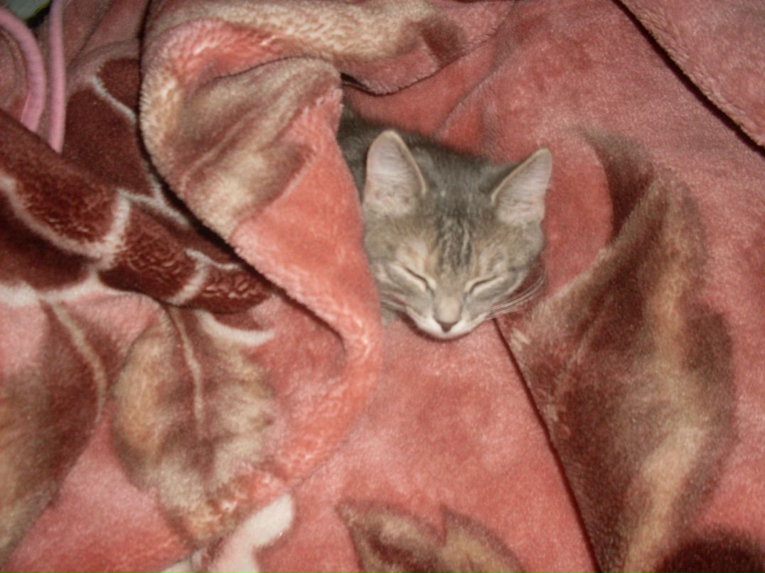 Кристина Морозова | 