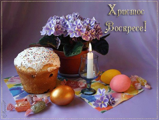 Альбина Евграфова | Казань