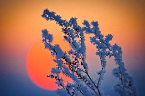 Ольга Кубенина | Няндома