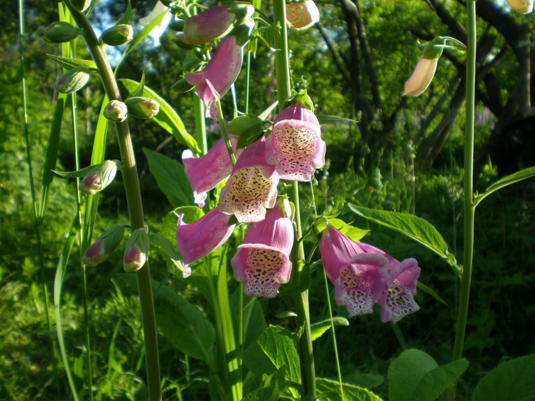 Юрий Татуйко | Санкт-Петербург