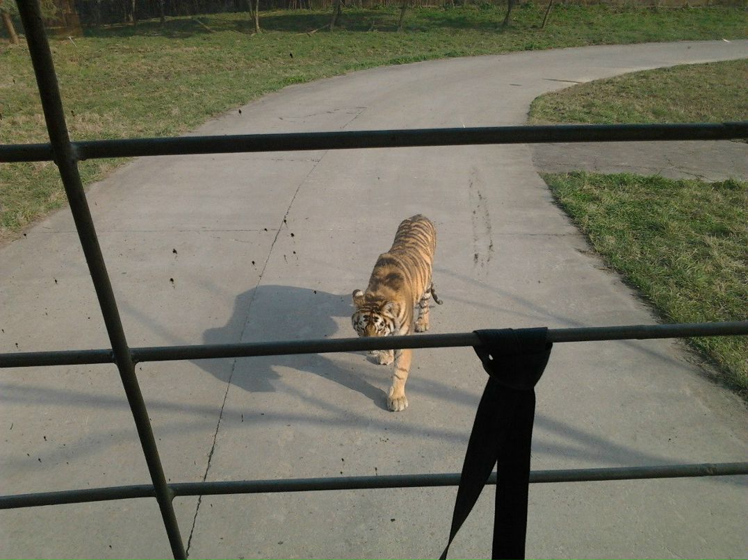 Александра Крамар ღღღ | Киев