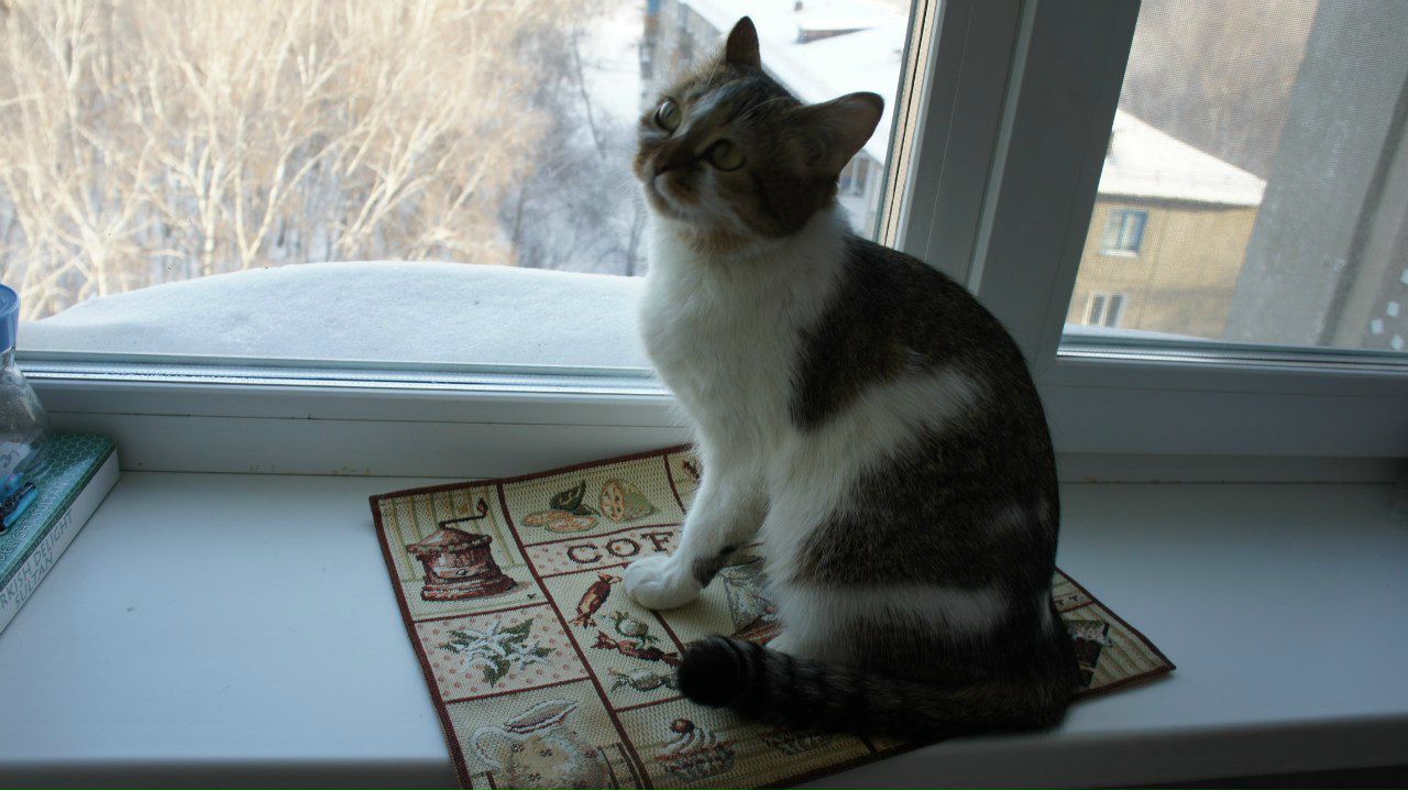 Евгения Евстратенко ~I LOVE YOU MICHAEL~ | Санкт-Петербург