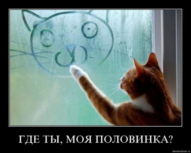 Денис Марчук | Кривой Рог