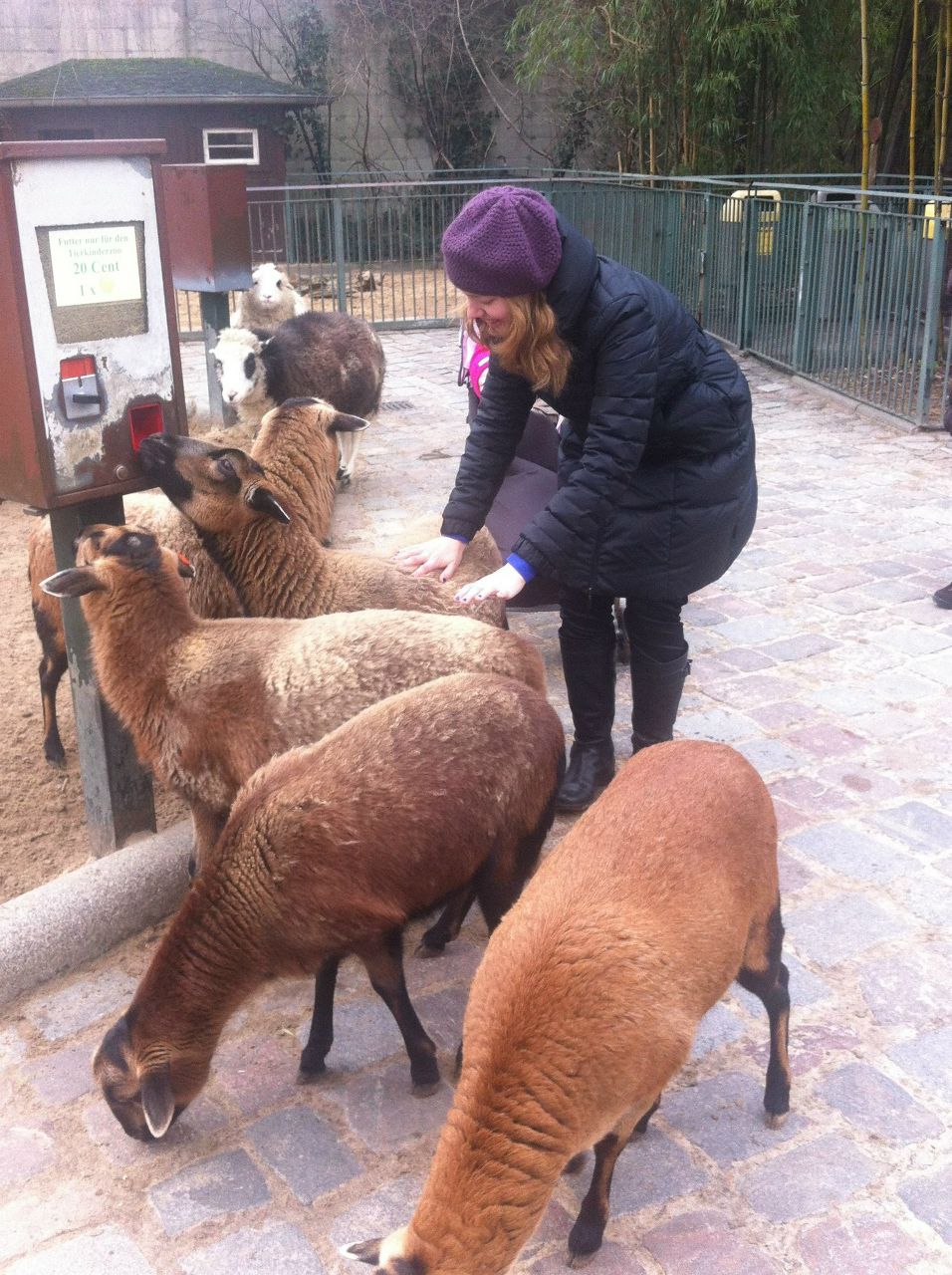 Дария Волынская | 
