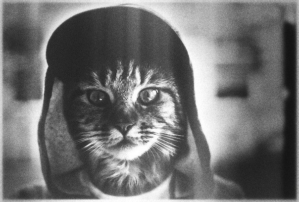 Егор Кузнецов, Россия, Барнаул