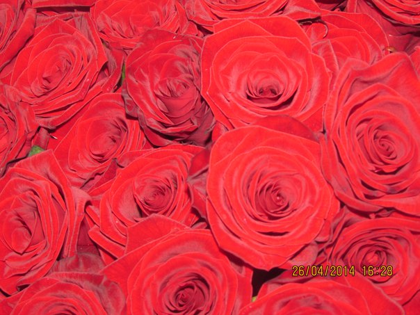 Бен Жаним, Россия, Екатеринбург