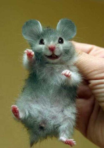 Stepan Bagmett, Россия, Москва