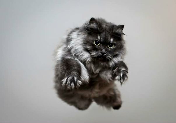 Настя Громова (Слепцова), Россия, Краснодар