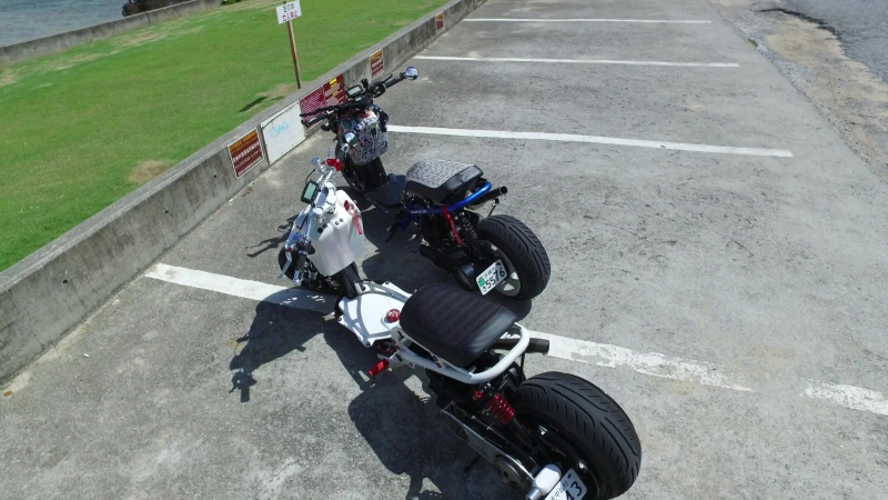 Honda Ruckus