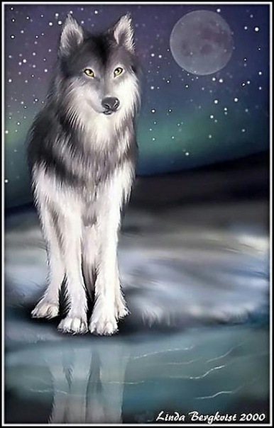 №18, Владислав Татауров №18, Владислав Татауров