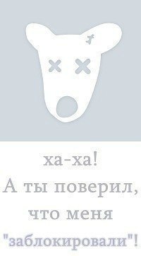 Коля Ромашов, США