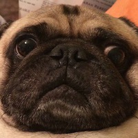 Андрей Яковлев