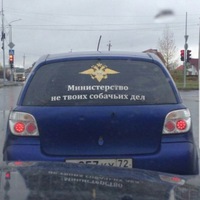 Ирина Беляева