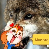 Вадим Власов