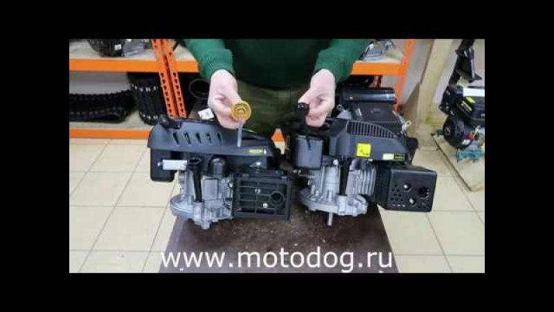 Www Motodog Ru Интернет Магазин
