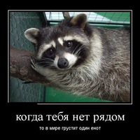 Наталья Шепелева
