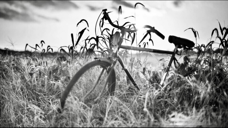 Devon Welsh Summers