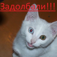 Алексей Пантелеев