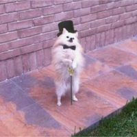 Юра Соколов