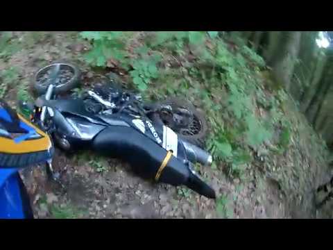 Бенёво и коварный кабан