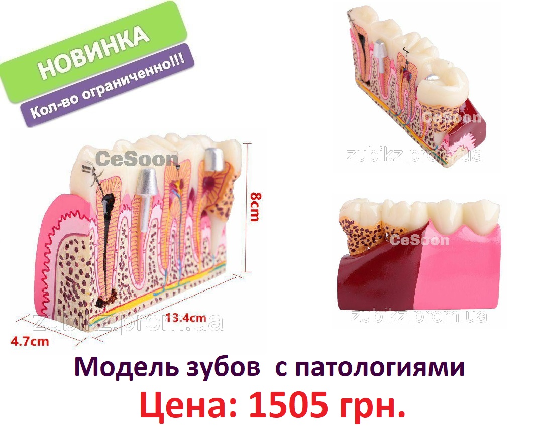 Эхо Новороссийск Официальный Сайт Магазин Стоматологического