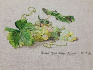 Волкова схемы вышивки. Марья Искусница ветка винограда. Екатерина Волкова виноград. Вышивка Екатерины Волковой виноград. Федор толстой виноград.