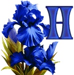 синий ирис алфавит, image #8