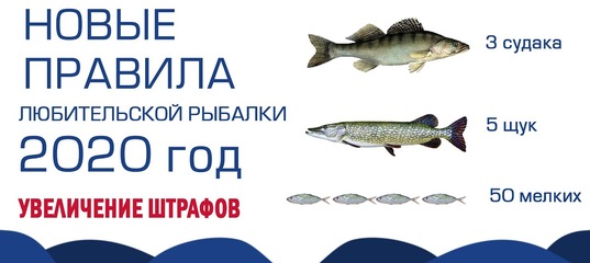 Магазин Квок Великий Новгород Магазин Квок Великий Новгород