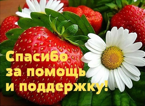 Рождения открытку, картинки спасибо большое за помощь поддержку
