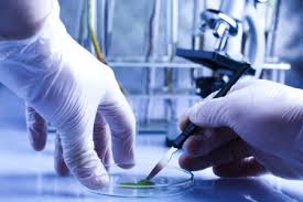 Что проходят на микробиологии. Ученый с микроскопом. Студенты медколледжа. Eco laboratories красивые фото. Микробиология эксперименты.