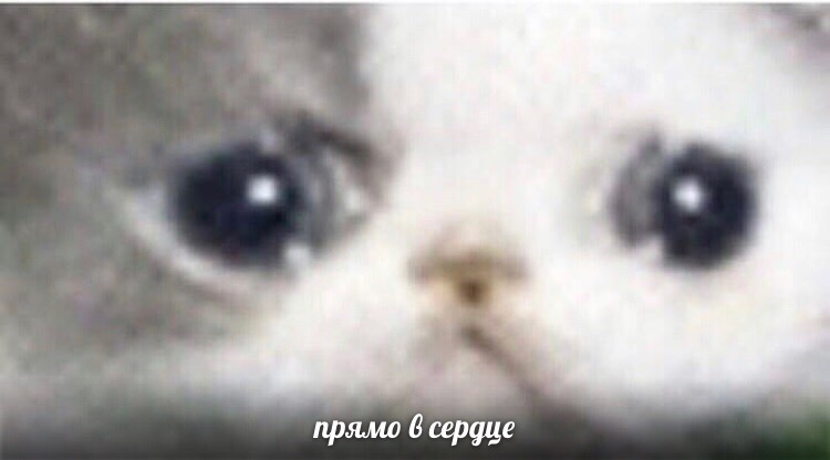 l6092lJejzA.jpg