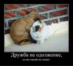 Фотография Полинка Торлопова
